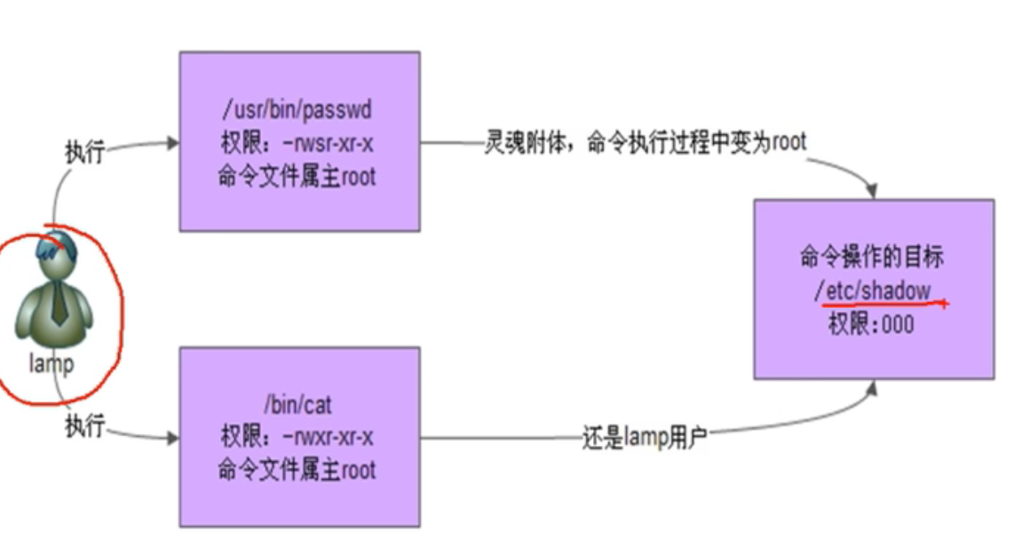 image-20211112124519400