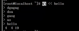 image-20211119114853618