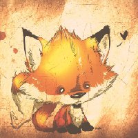 小灰灰